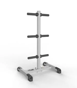 Barbell frame