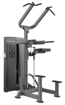 Assisted single and parallel bar dual function trainer