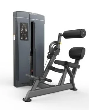 Sitting abdominal and back dual function trainer